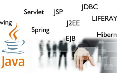 Professional in Advanced JAVA/J2EE Technologies